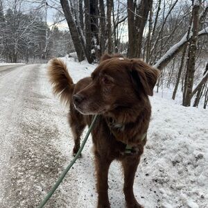 Meet your Posher, Margie